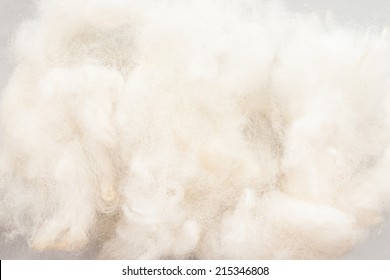 Raw Wool