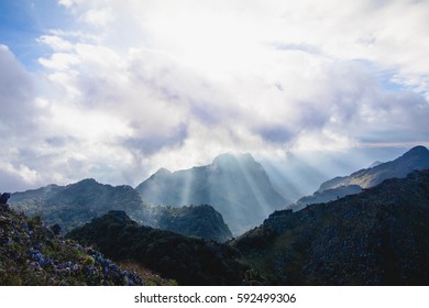 Ray Light