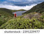 Ray Salisbury on scrubline, Mt Anglem, Rakiura Stewart Island, New Zealand