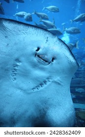 Ray smiles for the camera.