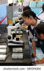 RAYONG, THAILAND – CIRCA DECEMBER 2016: Asian Primary School Girl Student Looking Through A Microscope During A Science Fair.