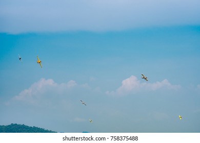 RAYONG, THAILAND-NOVEMBER 18, 2017 : Air Race1 World Cup Thailand 2017 At U-Tapao Naval Air Base In Thailand