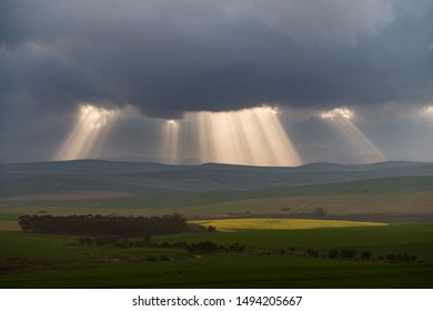Rays of light over an open field in South Africa