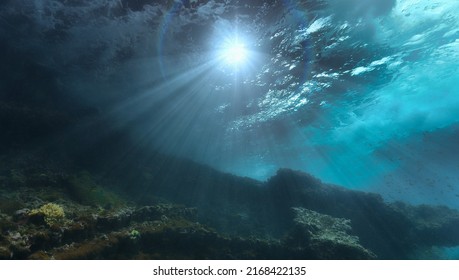 12,344 Underwater interior Images, Stock Photos & Vectors | Shutterstock