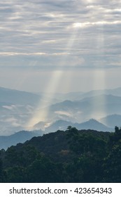 Rays of light shining down // Vertical
