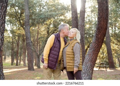 Rays o the sun illuminating a mature couple kissing in the forest - Shutterstock ID 2216766211