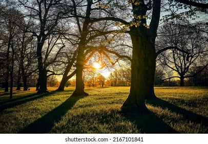The rays of the setting sun in the park. Dusk in park. Evening sundown in park. Sunset park landscape
