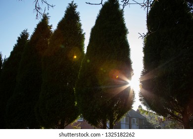 Rays of sun