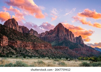 The rays of the sun illuminate red cliffs. Park at sunset. A beautiful pink sky. Zion National Park, Utah, USA - Powered by Shutterstock