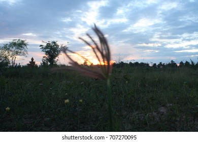 rays of the sun at sunset in the field