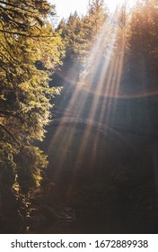 Rays Of Sunlight Cast Across The Wooden Bridge At Moulton Falls In Battle Ground, Washington, USA.