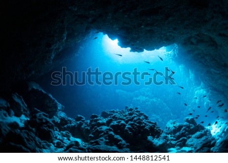 Rays of sunlight into the underwater cave