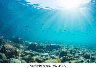 Rays of sunlight shining into sea, underwater view - Shutterstock ID 607411679