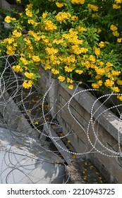 Razor Barbed Tape Wire Over Canal