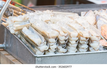 Razor Shell Stock Photo 352602977 | Shutterstock