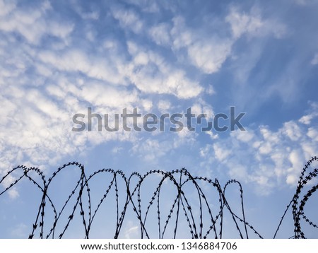 Razor wire coils on a security fence. High security facility or restricted area. Prison, incarceration or detention concept - border wall.