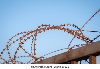 Razor Wire Fence. Trees Background.