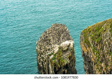 287 Stackpole rock Images, Stock Photos & Vectors | Shutterstock