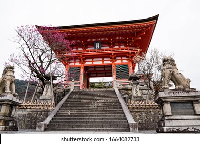 reaching Nioh-gate(仁王門, Diva gate); the main gate of Kiyomizu-dera temple in which is part of the Historic Monuments of Ancient Kyoto and a UNESCO World Heritage site