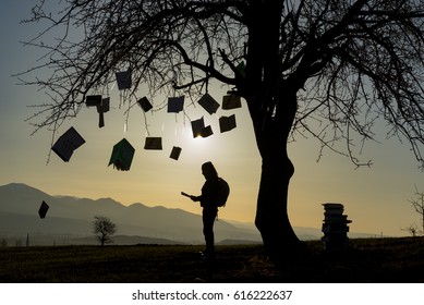 read a book under the tree