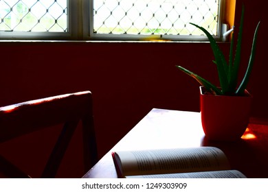 Reading Book 