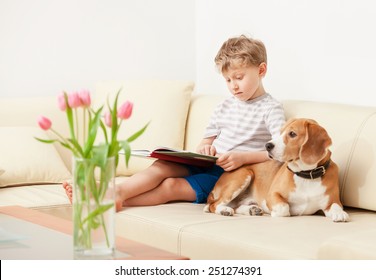 Reading boy with beagle on sofa in cozy home
