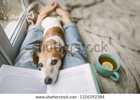 Reading at home with pet. Cozy home weekend with interesting book, dog and hot tea. Beige and blue. Chilling mood
