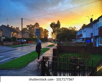 READING, UK - September, 22 2015:  A woman walks her dog down a residential street at sunset just after heavy rain.