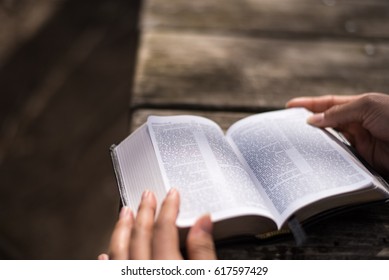 Reading The Word Of God The Bible Holy Book 