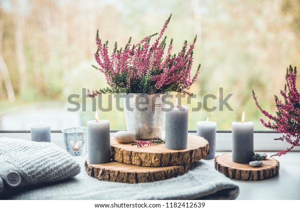 Ready Autumn Common Heather Flower Zinc Stock Photo Edit Now