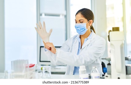 Ready To Delve Into Some Scientific Research. Shot Of A Young Scientist Putting On Protective Gloves In A Lab.