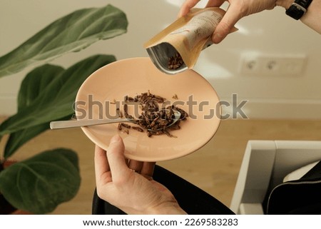Image, Stock Photo Insects as food | sparrow with insect in beak