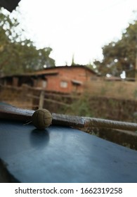 Ready To Play Gully Cricket With Rubber Ball. 