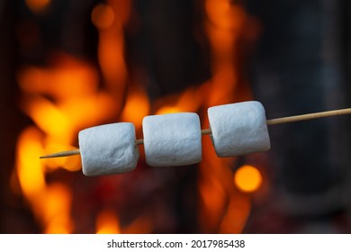 Ready to roast marshmallow on wooden stick near camp fire