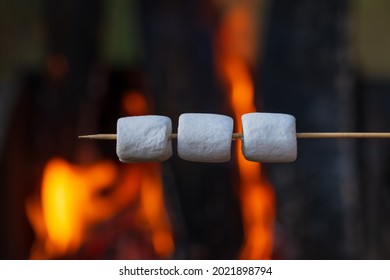 Ready to roast marshmallow on wooden stick near camp fire