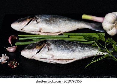 508 Fish without scales Images, Stock Photos & Vectors | Shutterstock