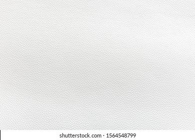 Real animal skin background texture. natural leather