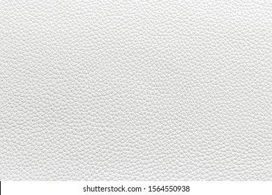 Real Animal Skin Background Texture. Natural Leather