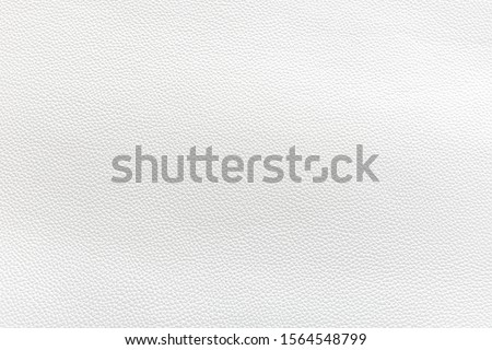 Real animal skin background texture. natural leather