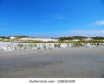 Real Beach Wetlands Sound Side Stock Photo 1288363108 | Shutterstock