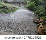 A real catastrophic hailstorm in the plum orchard that destroyed every fruit tree. Visibility during the hailstorm was very poor.
