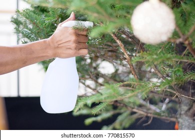 Real Christmas Tree Care