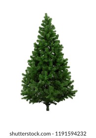 Real Christmas Tree, Isolated On White Background