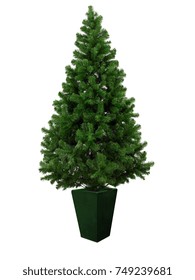 Real Christmas Tree, Isolated On White Background.