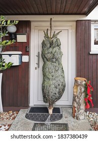 A Real Christmas Tree Is On The Doorstep. Delivery Of A Fir Tree In A Net To Home.