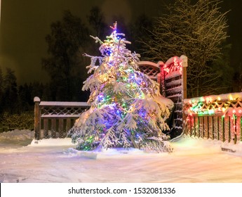 Real Christmas Tree In Sweden - Very Shiny Christmas Decorations On The Fir Tree Outside On Terrace, Dark Night, Much Snow, Led Lamps Usage To Save Energy And Climate, Stocksjo, Umea, Vasterbotten