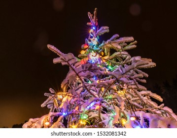 Real Christmas Tree In Sweden - Very Shiny Christmas Decorations On The Fir Tree Outside On Terrace, Dark Night, Much Snow, Led Lamps Usage To Save Energy And Climate, Stocksjo, Umea, Vasterbotten