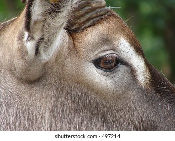 a real closeup