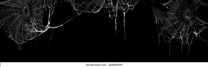 Real creepy spider webs hanging on black banner - Shutterstock ID 1834994695