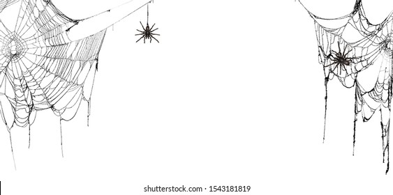 Realistic Spider Web Stock Photos Images Photography Shutterstock